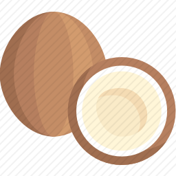 <em>椰子</em>