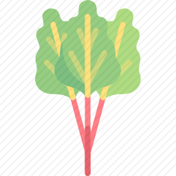 大黄