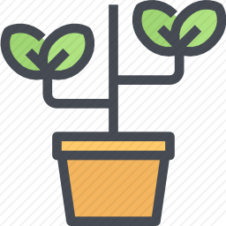 <em>植物</em>