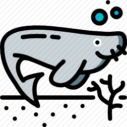 <em>海牛</em>