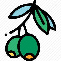 <em>橄榄</em>