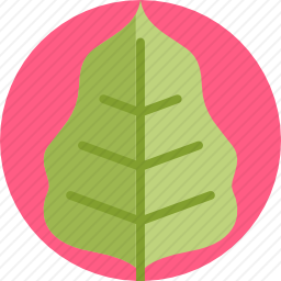 <em>叶子</em>