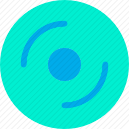<em>光盘</em>