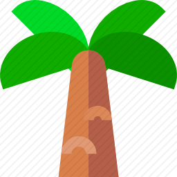 棕榈树