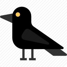 <em>乌鸦</em>