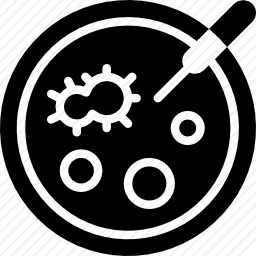 <em>培养皿</em>