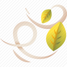 风