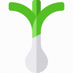 葱