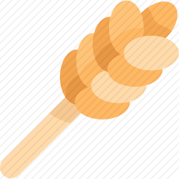 <em>小麦</em>