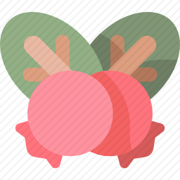 浆果