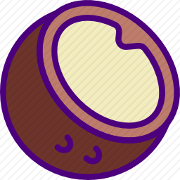 <em>椰子</em>