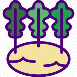 <em>芹菜</em>
