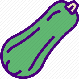 灰胡桃南瓜