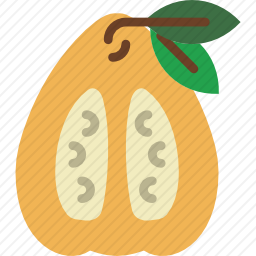 番石榴