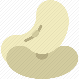 豆