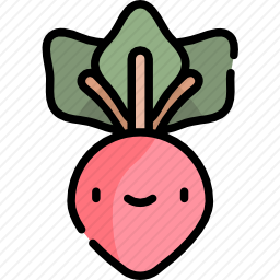 甜菜根
