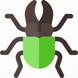 <em>甲虫</em>
