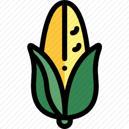 <em>玉米</em>