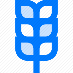 <em>小麦</em>