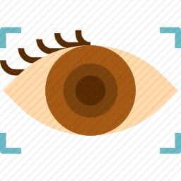 眼部扫描