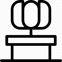 <em>郁金香</em>