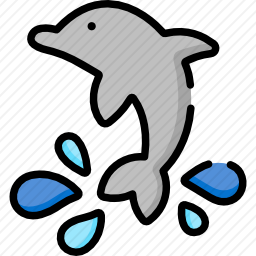 海豚