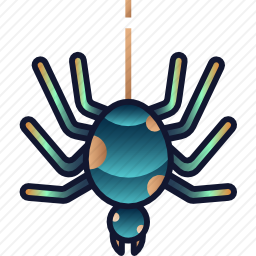 <em>蜘蛛</em>