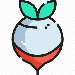 甜菜根