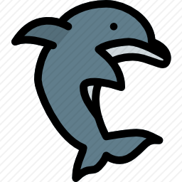 海豚