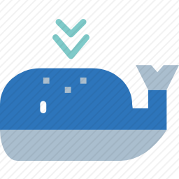 <em>鲸鱼</em>