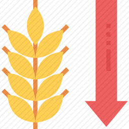 <em>小麦</em>