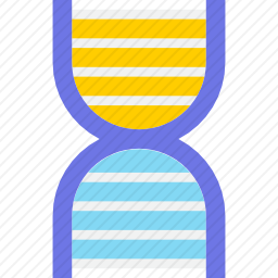 DNA