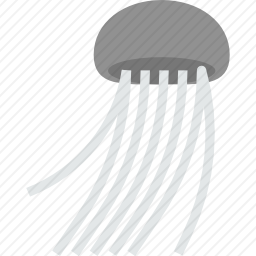 水母