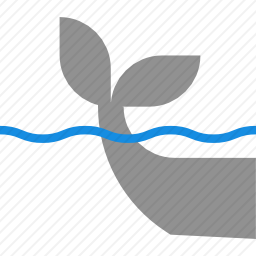 <em>鲸鱼</em>