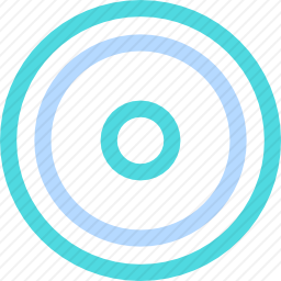 <em>飞盘</em>