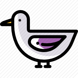 鸭子
