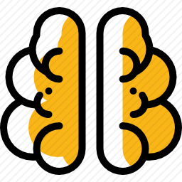 脑