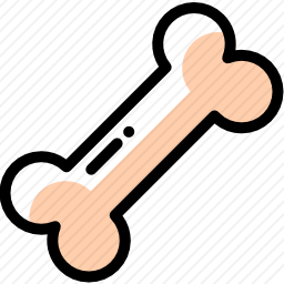 <em>骨头</em>