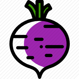 <em>甜菜</em>