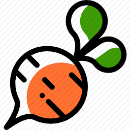 <em>甜菜</em>