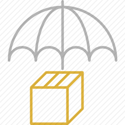 <em>运输</em>