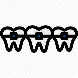 <em>牙齿</em>