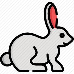 兔子
