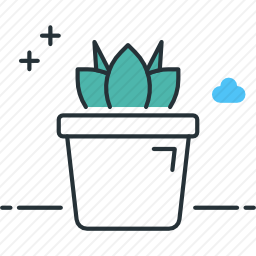 <em>植物</em>