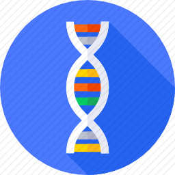 DNA