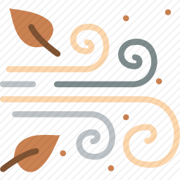 <em>风</em>