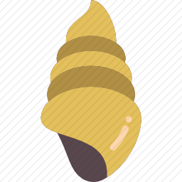 <em>贝壳</em>
