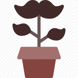 植物