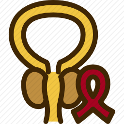 <em>前列腺</em>