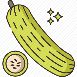 <em>黄瓜</em>